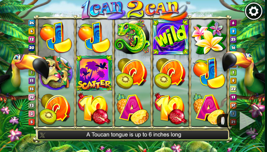 1 can 2 can Toucan slot